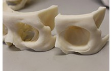 3d printing medical industry